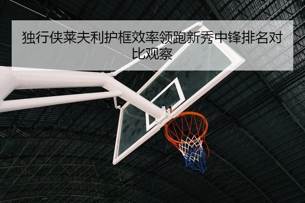 独行侠莱夫利护框效率领跑新秀中锋排名对比观察