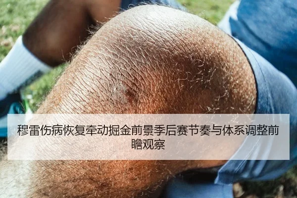 穆雷伤病恢复牵动掘金前景季后赛节奏与体系调整前瞻观察
